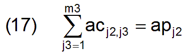equation (17)